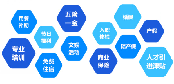 提供全面、系統(tǒng)、專業(yè)的培訓和廣闊的<br>職業(yè)發(fā)展空間和提升機會